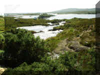 AA038.JPG (490628 bytes)