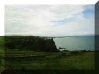 GiantsCause3.jpg (327696 bytes)