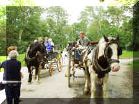 Killarney2.jpg (606934 bytes)