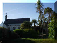 PalmTrees2.jpg (286111 bytes)