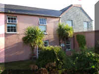 PalmTrees3.jpg (297151 bytes)