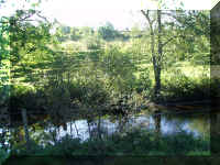 Pettigo3.jpg (306411 bytes)