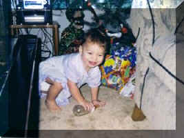 Tay2b.jpg (57275 bytes)