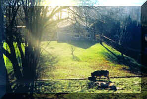 Viewb.jpg (84458 bytes)